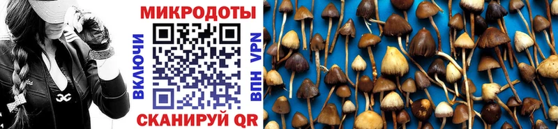 Галлюциногенные грибы ЛСД  Игра 